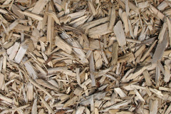 biomass boilers Tetcott